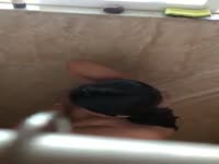 My sexy mom showering